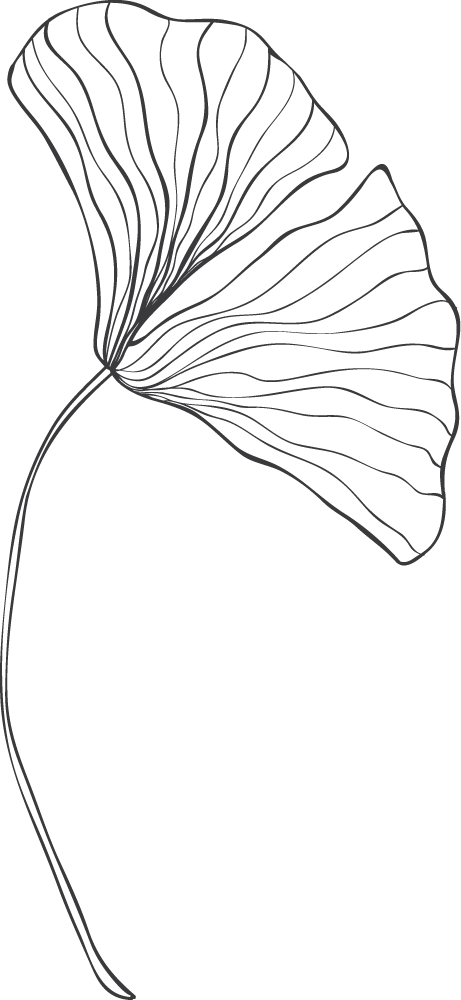 Wedding Photographer in Greece